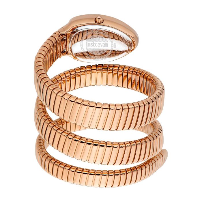 JC1L232M0045 b ساعت های مچی جاست کاوالی - Image 2